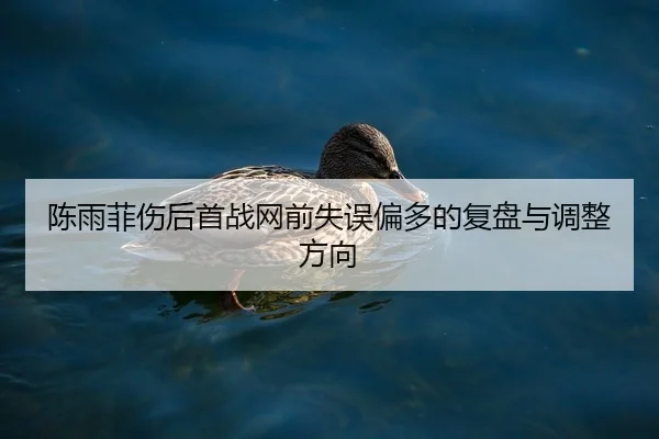 陈雨菲伤后首战网前失误偏多的复盘与调整方向