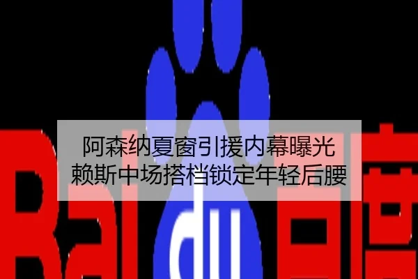 阿森纳夏窗引援内幕曝光 赖斯中场搭档锁定年轻后腰