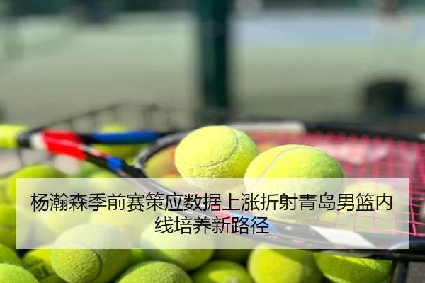 杨瀚森季前赛策应数据上涨折射青岛男篮内线培养新路径